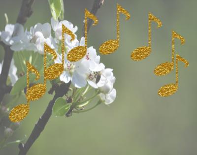 2025 Spring Band Concert - May 22